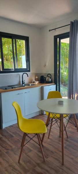 L'escapade du sud sauvage, le studio